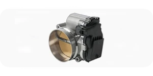 Induction - Throttle Bodies