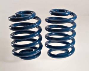 DJM Suspension - CS2000R-5 | DJM Suspension 5 Inch Rear Lowering Coils (2001-2006 Suburban, Tahoe, Yukon 2WD/4WD)