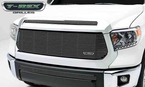 T-Rex Billet - 20965 | T-Rex Billet Series Grille | Horizontal | Aluminum | Polished | 1 Pc | Replacement