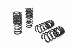 6388.140 | PRO-KIT Performance Springs (Set of 4 Springs)