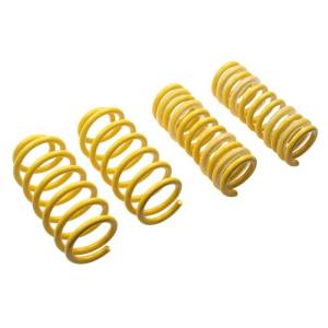 65504  | ST Suspensions Sport Lowering Springs