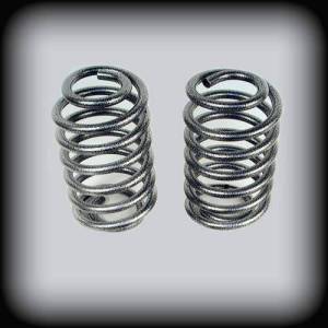 CS2301R-4 | DJM Suspension 4 Inch Rear Lowering Coils (2001-2010 Trailblazer 2WD)
