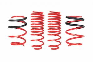 E20-40-036-02-22 | SPORTLINE Kit (Set of 4 Springs)