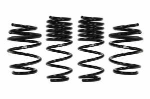 E10-40-036-03-22 | Eibach PRO-KIT Performance Springs For Honda Civic Type R | 2017-2021 | Set Of 4