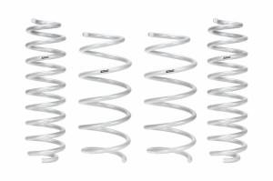 E30-82-088-02-22 | PRO-LIFT-KIT Springs (Front & Rear Springs)
