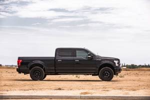 Cognito Motorsports - 220-P1181 | Cognito 2.5-inch Performance Leveling Kit with Elka 2.0 IFP shocks (2015-2020 Ford F150 4WD) - Image 3