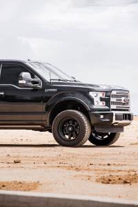 Cognito Motorsports - 220-P1181 | Cognito 2.5-inch Performance Leveling Kit with Elka 2.0 IFP shocks (2015-2020 Ford F150 4WD) - Image 4