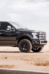 Cognito Motorsports - 220-P1181 | Cognito 2.5 Inch Performance Leveling Kit with Elka 2.0 IFP shocks (2015-2020 Ford F150 4WD) - Image 4