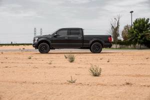 Cognito Motorsports - 220-P1182 | Cognito 2.5-Inch Elite Leveling Kit with Elka 2.5 Reservoir Shocks (2015-2020 Ford F150 4WD) - Image 3