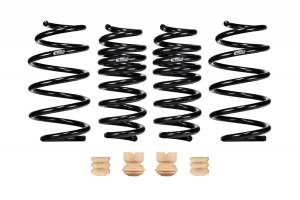 E10-23-039-01-22 | Eibach PRO-KIT Performance Springs (Set of 4 Springs)