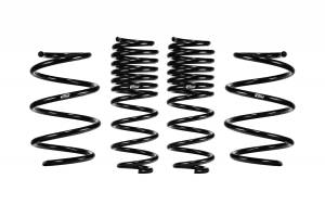 E10-40-046-01-22 | Eibach PRO-KIT Performance Springs (Set of 4 Springs)