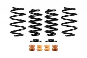 E10-85-058-03-22 | Eibach PRO-KIT Performance Springs (Set of 4 Springs)