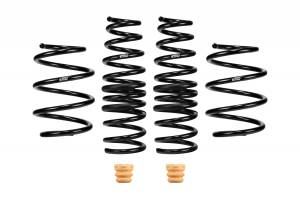 E10-46-043-01-22 | Eibach PRO-KIT Performance Springs (Set of 4 Springs)