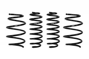 E10-46-041-01-22 | Eibach PRO-KIT Performance Springs (Set of 4 Springs)