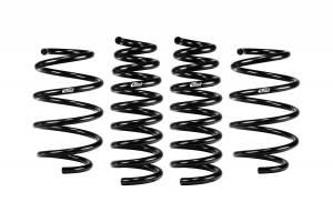 E10-46-045-02-22 | Eibach PRO-KIT Performance Springs (Set of 4 Springs)