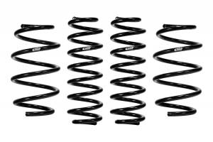 E10-85-057-01-22 | Eibach PRO-KIT Performance Springs (Set of 4 Springs)