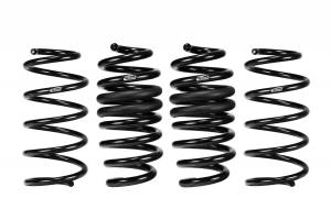 E10-35-051-03-22 | Eibach PRO-KIT Performance Springs (Set of 4 Springs)