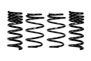 E10-35-064-02-22 | Eibach PRO-KIT Performance Springs (Set of 4 Springs)