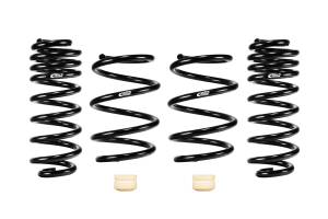 E10-42-060-01-22 | Eibach PRO-KIT Performance Springs (Set of 4 Springs)