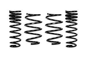 E10-77-030-01-22 | Eibach PRO-KIT Performance Springs (Set of 4 Springs)