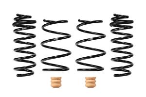 E10-82-102-01-22 | Eibach PRO-KIT Performance Springs (Set of 4 Springs)