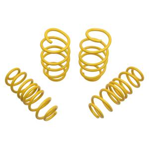 ST Suspension - 65822  | ST Suspensions Sport Lowering Springs - Image 2