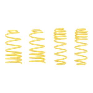 66206  | ST Suspensions Sport Lowering Springs