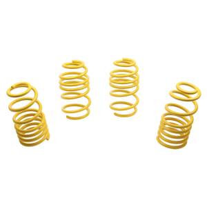 ST Suspension - 60122 | ST Suspensions Sport Lowering Springs - Image 2