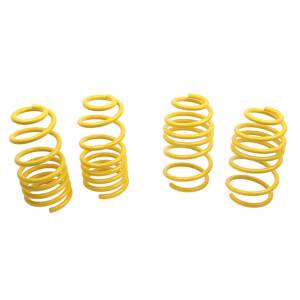 60122 | ST Suspensions Sport Lowering Springs