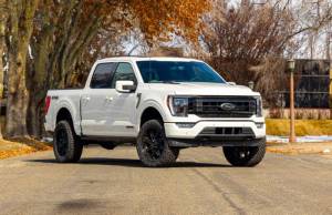 ReadyLIFT Suspensions - 62-21440 | ReadyLift 3.5 Inch SST Lift Kit with Falcon Shcks (F150 Pickup 4WD) - Image 3