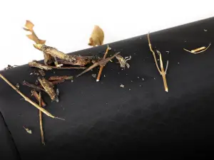 Afe - Advance Flow Engineering - 28-10573 | aFe Power Magnum Shield Pre-Filters - Black - Image 3