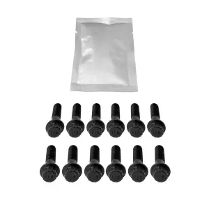 Pacific Performance Engineering - 116122500 | PPE Performance Up-Pipes Bolt Set (12 pcs) (2017-2025 Silverado, Sierra 2500 HD, 3500 HD 6.6L td) - Image 2