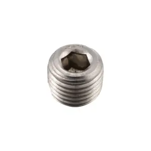 128051006 | PPE Performance 1/4 Inch NPT Stainless Steel Plug