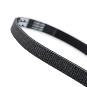 Pacific Performance Engineering - 113061429 | PPE Performance Serpentine Belt Long, Dual Fueler, LB7, 3630 MM, 6 RIB For GM 6.6L Duramax - Image 3