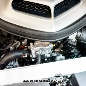 Pacific Performance Engineering - 213001082 | PPE Performance High-Performance Heavy-Duty Serpentine Belt For Dodge Challenger, Charger & Durango / Jeep Grand Cherokee / Chrysler 300 5.7L & 6.4L V8 - Image 6