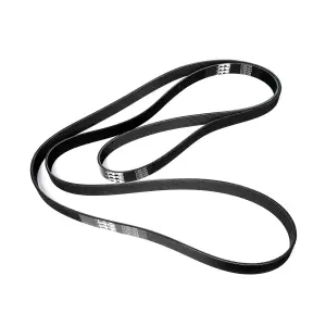 Pacific Performance Engineering - 213001264 | PPE Performance Serpentine Belt, Single Alternator For Ram 5.9L / 6.7L - Image 1
