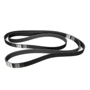 Pacific Performance Engineering - 213001298 | PPE Performance Serpentine Belt, Dual Alternator For Ram 6.7L - Image 1