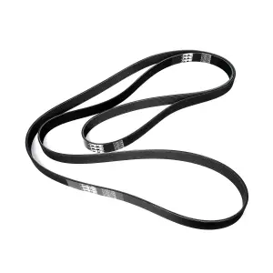 Pacific Performance Engineering - 213001298 | PPE Performance Serpentine Belt, Dual Alternator For Ram 6.7L - Image 4
