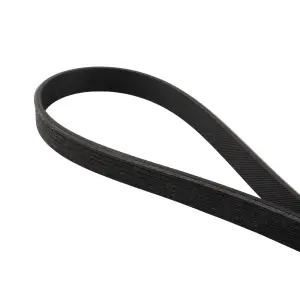 Pacific Performance Engineering - 313060675 | PPE Performance High-Performance Heavy-Duty Serpentine Belt For Ford 5.0/5.2L NA Mustang - Image 2