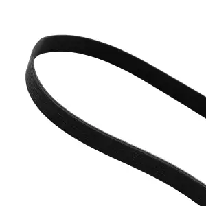 Pacific Performance Engineering - 313081344 | PPE Performance Serpentine Belt, Single/Rear Alternator, For Ford F-250/F-350 6.7L Powerstroke - Image 2