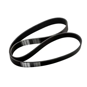 Pacific Performance Engineering - 213001454 | PPE Performance Serpentine Belt For Dodge 6.2L Supercharged Challenger / Charger 10PK1454 - Image 2