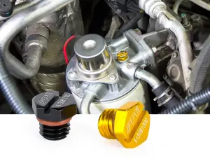 Pacific Performance Engineering - 513081100 | PPE Performance Air Bleeder Screw For GM 6.6L Duramax | Black Finish - Image 2