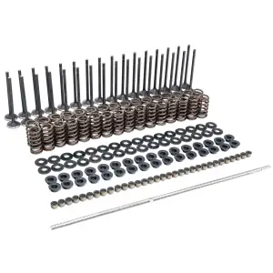 Pacific Performance Engineering - 110090080 | PPE Performance Valve and Conical Spring Kit For GM 6.6L Duramax - Image 2