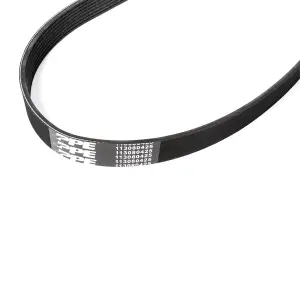 113080425 | PPE Performance Serpentine Belt For GM 6.6L L5P