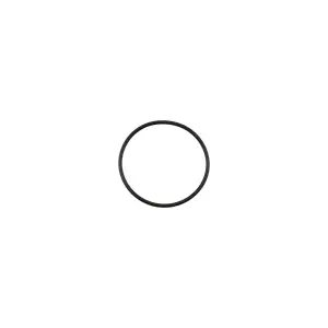 119000802 | PPE Performance O-ring Seal For PPE Coolant Block-Off Plate For GM 6.6L Duramax