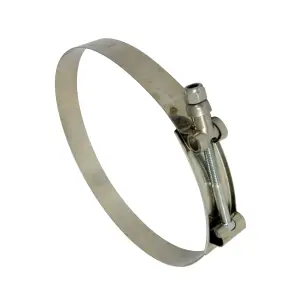 Pacific Performance Engineering - 515600550 | PPE Performance T-Bolt Clamps - 304 Stainless Steel | 6.00 Inch Dimensions - Image 1
