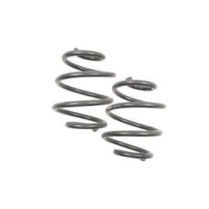 5355 | 5 Inch GM Rear Coil Spring Set