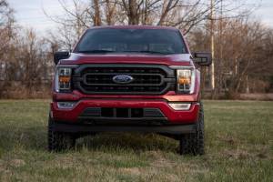 Rough Country - 41430_A | Rough Country 3 Inch Lift Kit Forged Upper Control Arms For Ford F-150 2WD - Image 10
