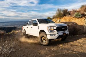 BDS Suspension - BDS1914FPE | BDS Suspension 2 Inch Leveling Kit For Ford F-150 4WD | Fox 2.5 Coilover Performance Series | Rear Fox 2.5 Performance Elite Shocks | For Trucks With Adaptive Headlight UCA Sensor - Image 2