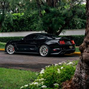 AlphaREX - 655010 | AlphaRex NOVA-Series Prismatic LED Tail Lights For Ford Mustang (2015-2023) | Alpha-Black - Image 3
